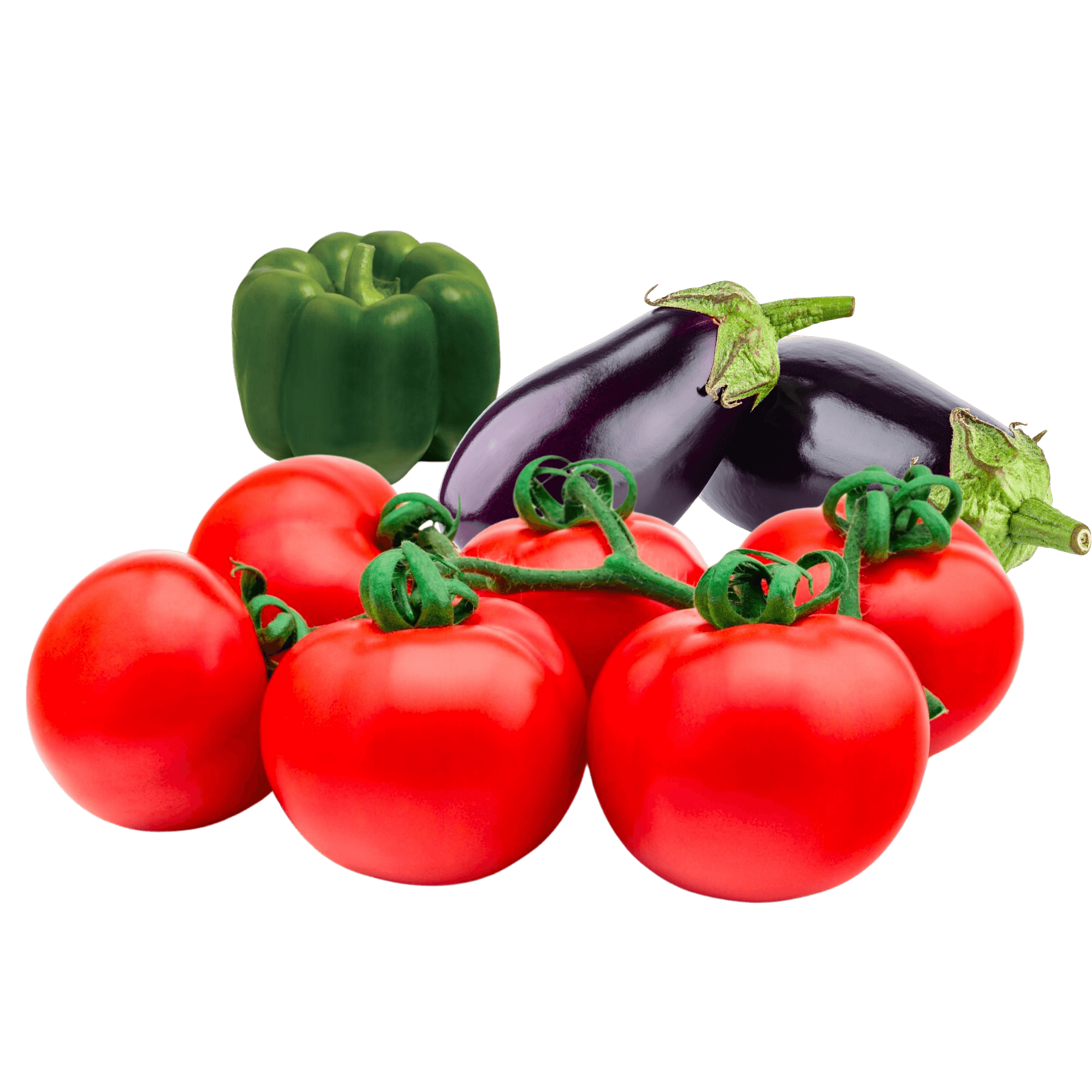 Solanaceae